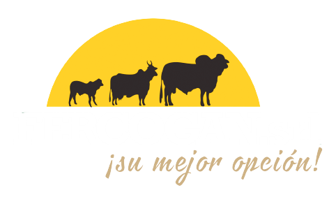 Su mejor opción